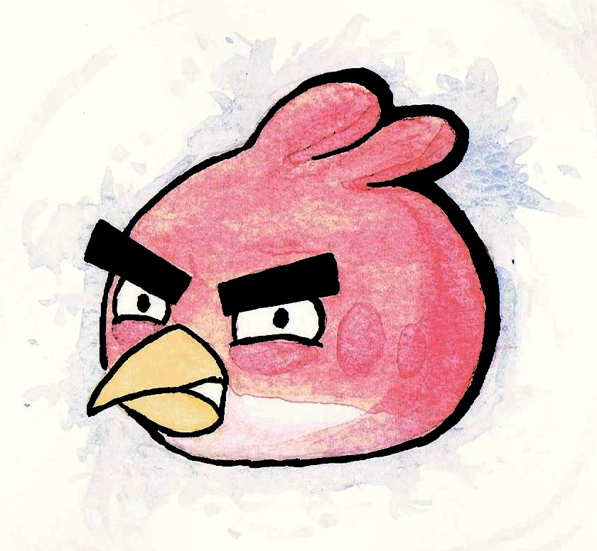 p102745-0-angrybird281212.jpg