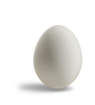 p111550-0-eggs.png