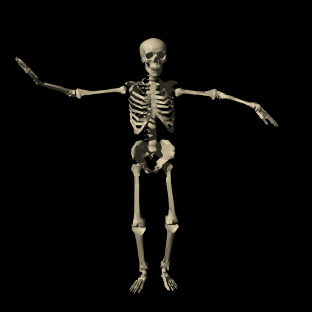 p187151-0-skeletondancinghgblk.gif