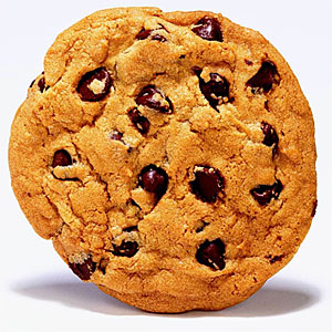 p484-0-ecookie.jpg