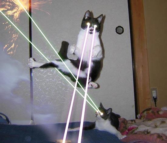 p53929-0-lasercats.jpg