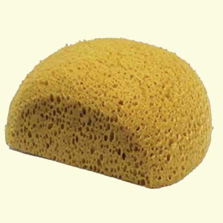 p54105-0-4705csponge1.jpg