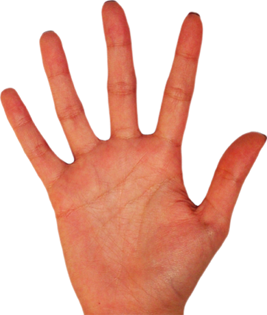 p96358-1-hand.png