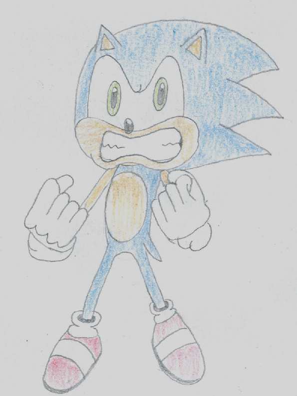 AngrySonic_zpsfb218f96.jpg